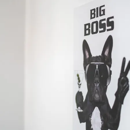 Mola Apartments-geräumiges In Bis 6 Personen, Xxl Couch, Parkplatz Und Wlan