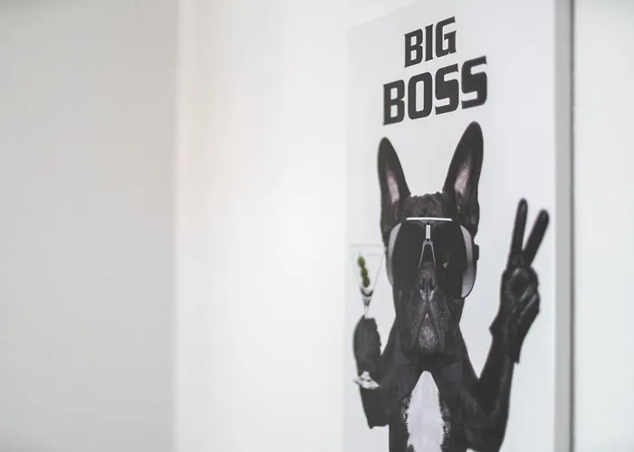 Mola Apartments-geraeumiges In Bis 6 Personen, Xxl Couch, Parkplatz Und Wlan